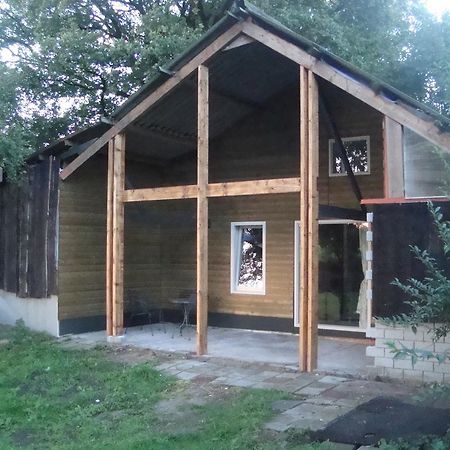 Apartment 'T Zwaluwnest Luttenberg Δωμάτιο φωτογραφία